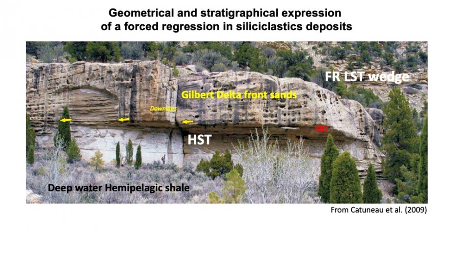 2_Geometrical and stratigraphical expression  of a forced regression in siliciclastics deposits