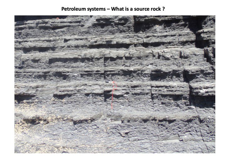 3_Petroleum_Geology