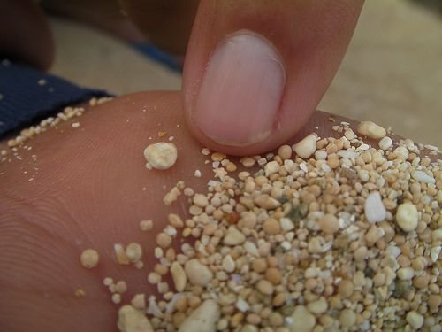 Sandy grains on hands and fingers: Could we decipher some possible evidence?
