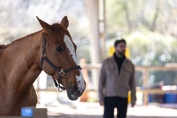 Communiquer autrement : �couter, dire, incarner