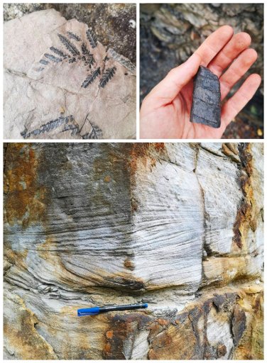 Carboniferous deposits